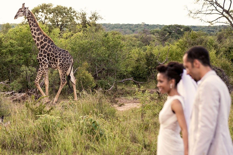 Walking along the giraffe.